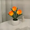 3 Head Orange Tulip