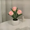 3 Head Pink Tulip