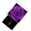 Purple Rose