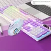 White Purple (keyboard + Mouse)