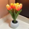 6 Head Pink Tulip