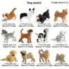 12pcs Dog Model Set