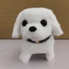 Bichon